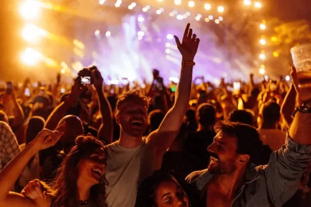people gathering on a concert